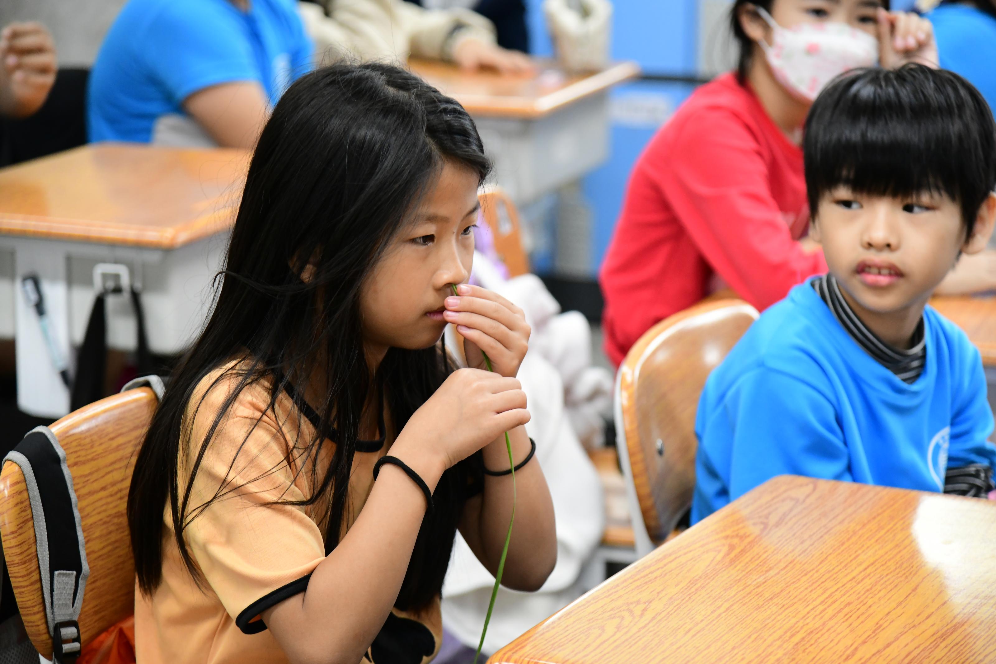 學生以嗅覺體驗檸檬香茅的香氣