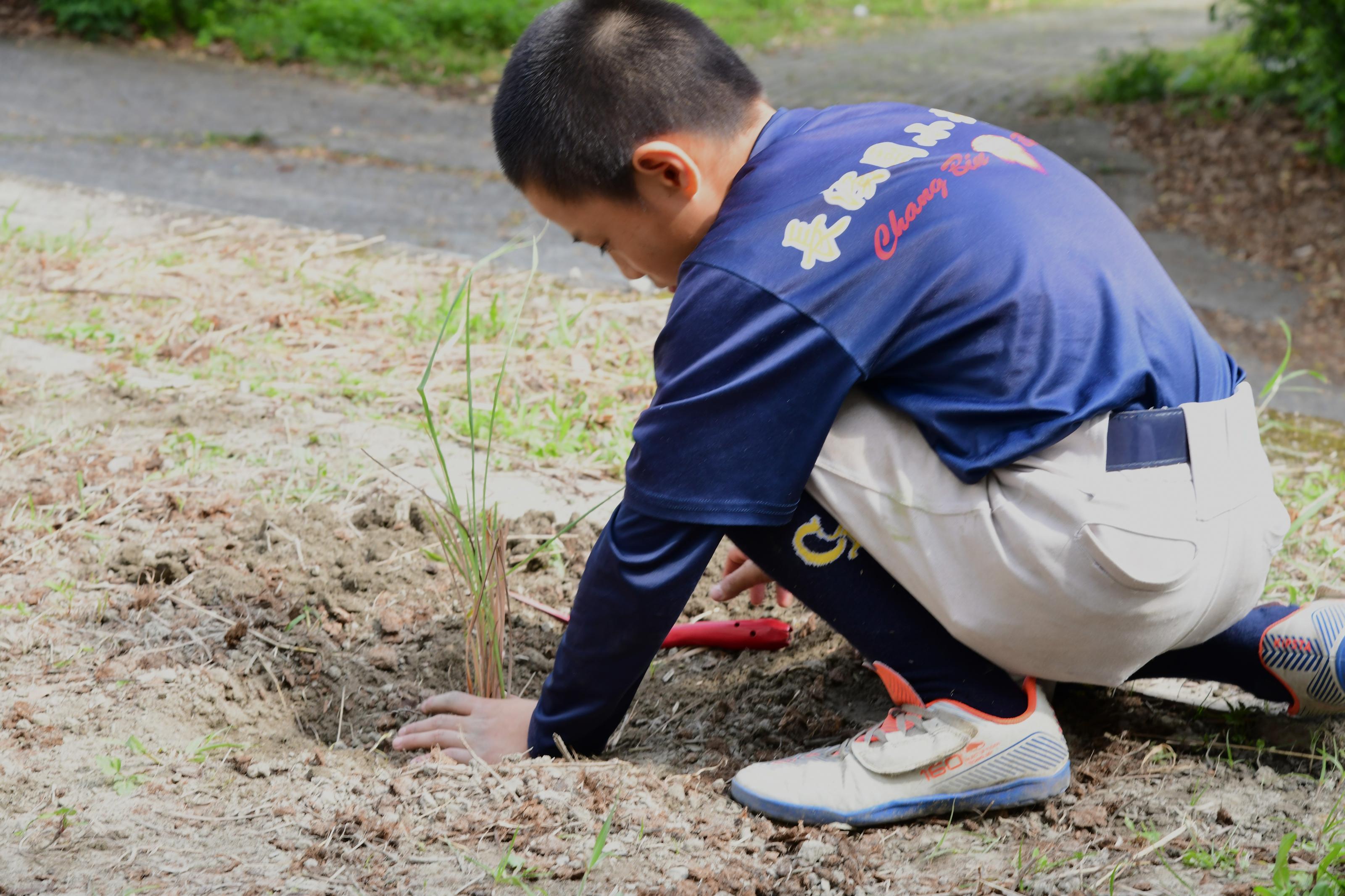 學生進行種植體驗