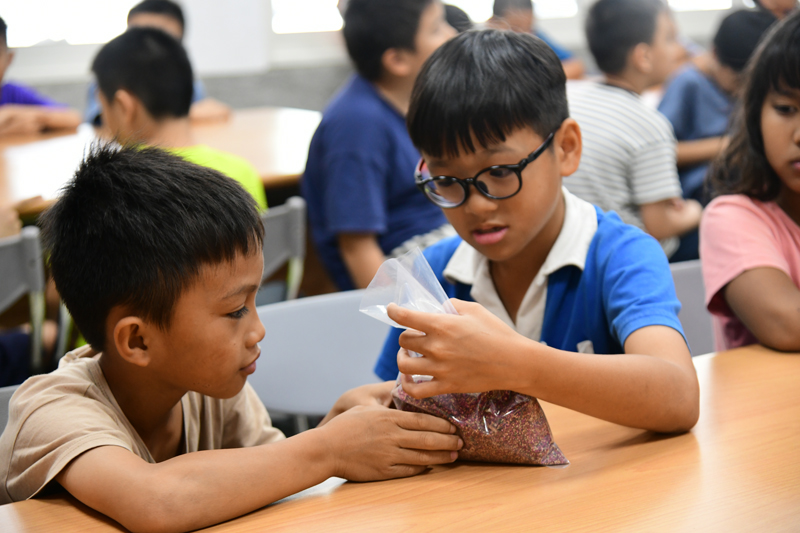 學生觀察臺灣藜種子情形