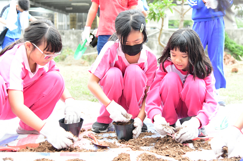 學生學習運用軟盆種植臺灣藜