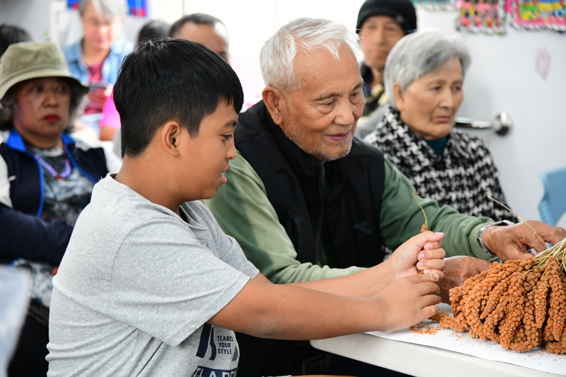 老幼共學小米脫粒與脫殼技巧