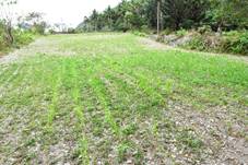 TTDARES Holds Indigenous Agricultural Industry Mobile Classroom to Promote Mechanized Millet Cultivation and Add Value to Farming Industry in Indigenous Communities
