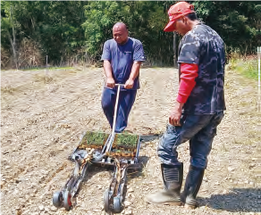 復育小米大挑戰，種植機械來幫忙
