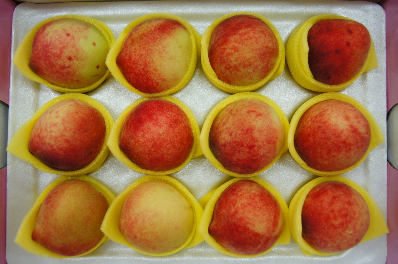 水蜜桃(台農甜蜜桃)圖片