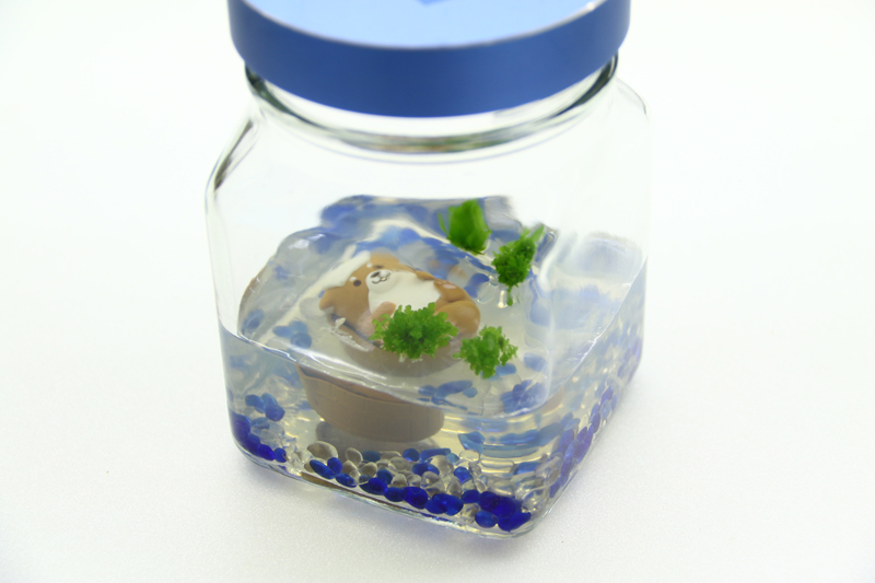 腎蕨臺東1號綠球體瓶中植物,無菌且無需澆水,觀賞期長達3個月以上 腎蕨臺東1號綠球體瓶中植物,無菌且無需澆水,觀賞期長達3個月以上。