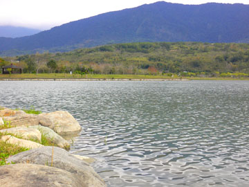 大坡池風景區-湖邊景色