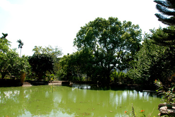 我自然生態農場