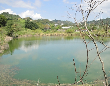 自然溼地生態區