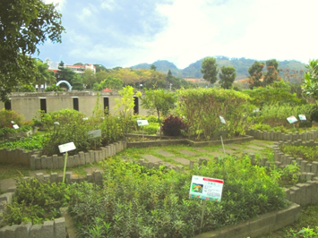 原生應用植物園 原生應用植物園