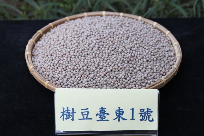 ‘Taitung No. 1’pigeon peas