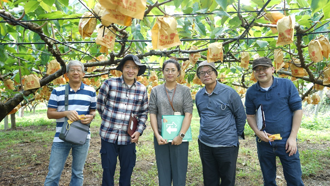 Evaluation of an outstanding atemoya orchard. Evaluation of an outstanding atemoya orchard.