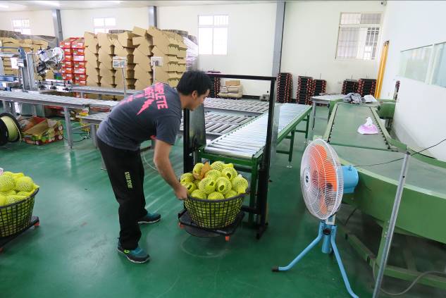 Fruit basket lifting device Fruit basket lifting device