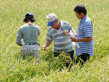 研究人員協助池上稻農診斷病蟲害