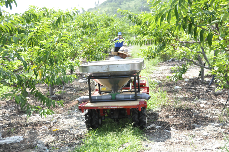 The work situation of transport vehicle with a mounted fertilizer spreader.