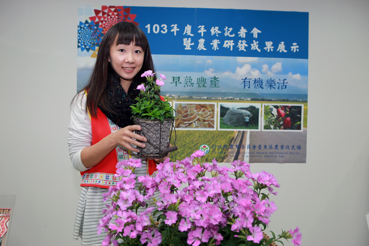 Newly developed variety “Taitung No. 2 Fragrance Summer” as exhibited at the event.