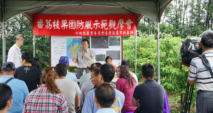 TTDARES Director Chen Hsin-yen hosts the Sugar Apple Orchard Windbreak Demonstration Event.