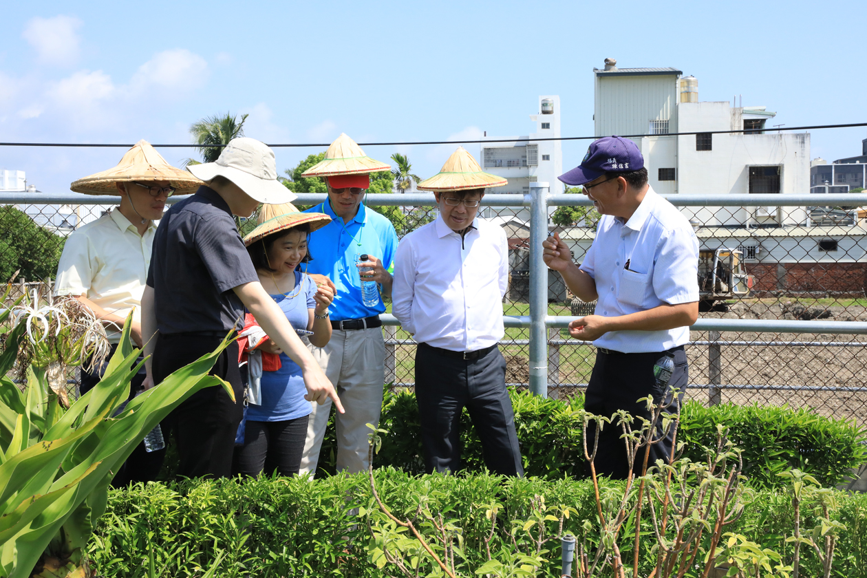 Researchers from PITDC and TARI visit the health crop fields at the TTDARES.