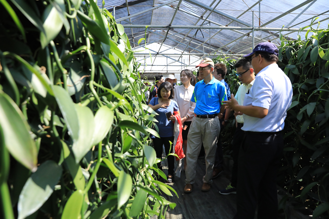 Researchers from PITDC and TARI visit a flat-leaved vanilla greenhouse at the TTDARES.