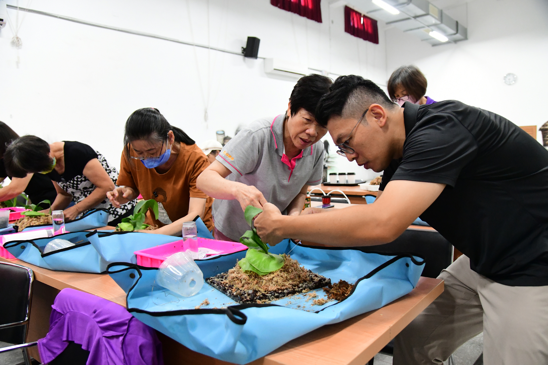 The instructor shows a participant how to affix a fern to a mounting board.