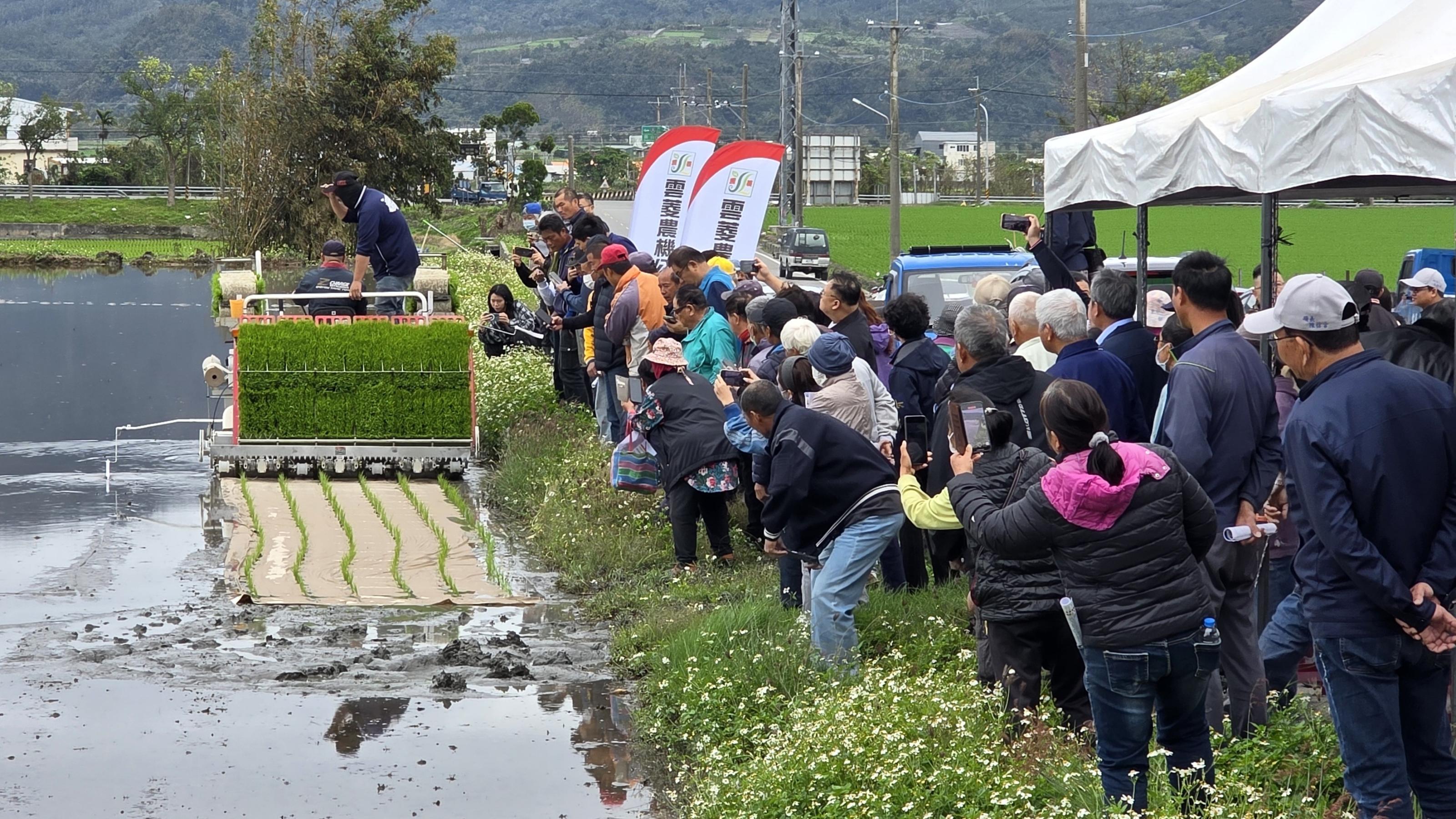 Figure 2. Attendees eagerly watch a demonstration of rice being transplanted into a field accompanied by the laying of paper mulch.