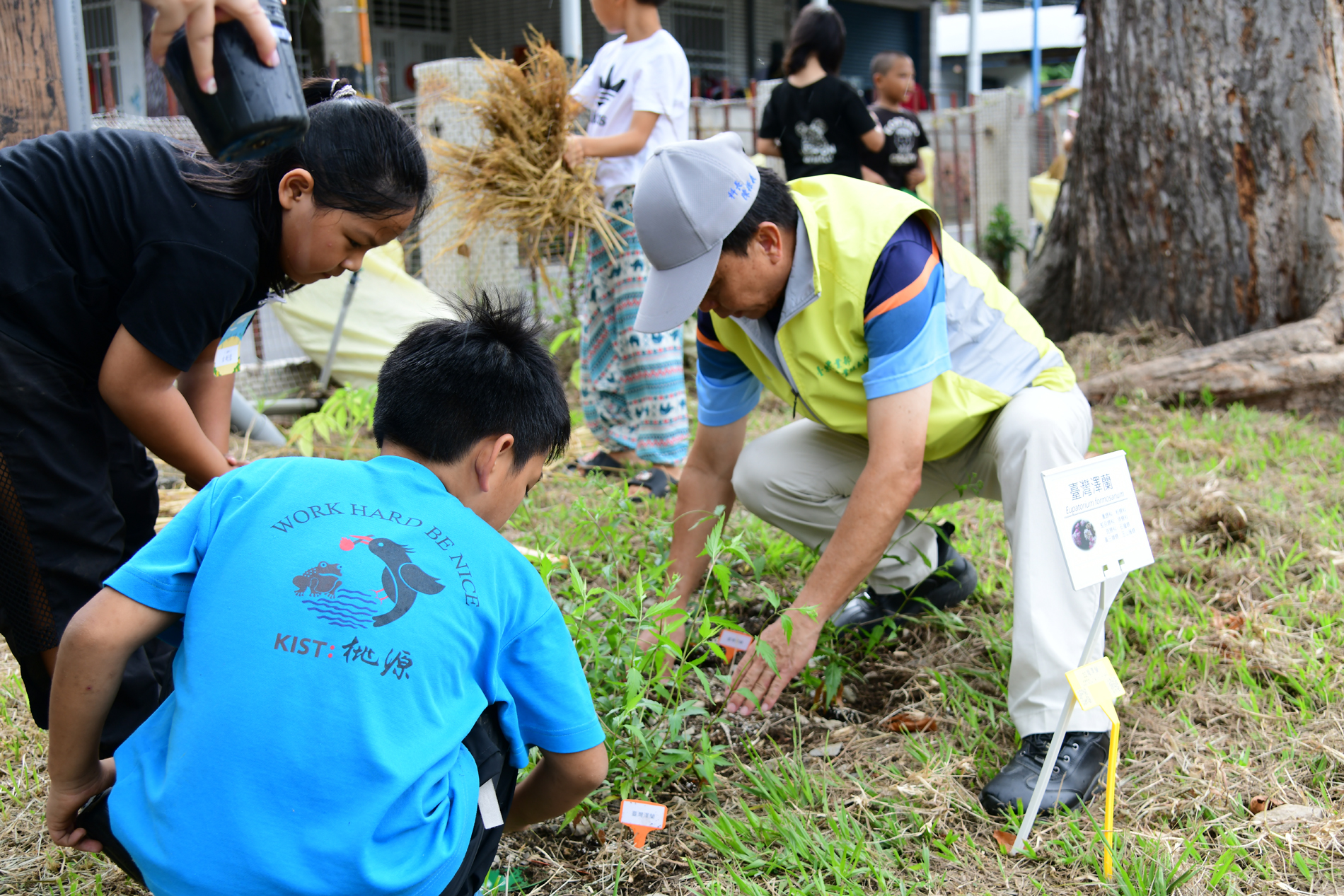 致伸科技、孔雀魚數位科技及臺東農改場與桃源國小協力,在校園中復育原生蜜源植物 致伸科技、孔雀魚數位科技及臺東農改場與桃源國小協力,在校園中復育原生蜜源植物