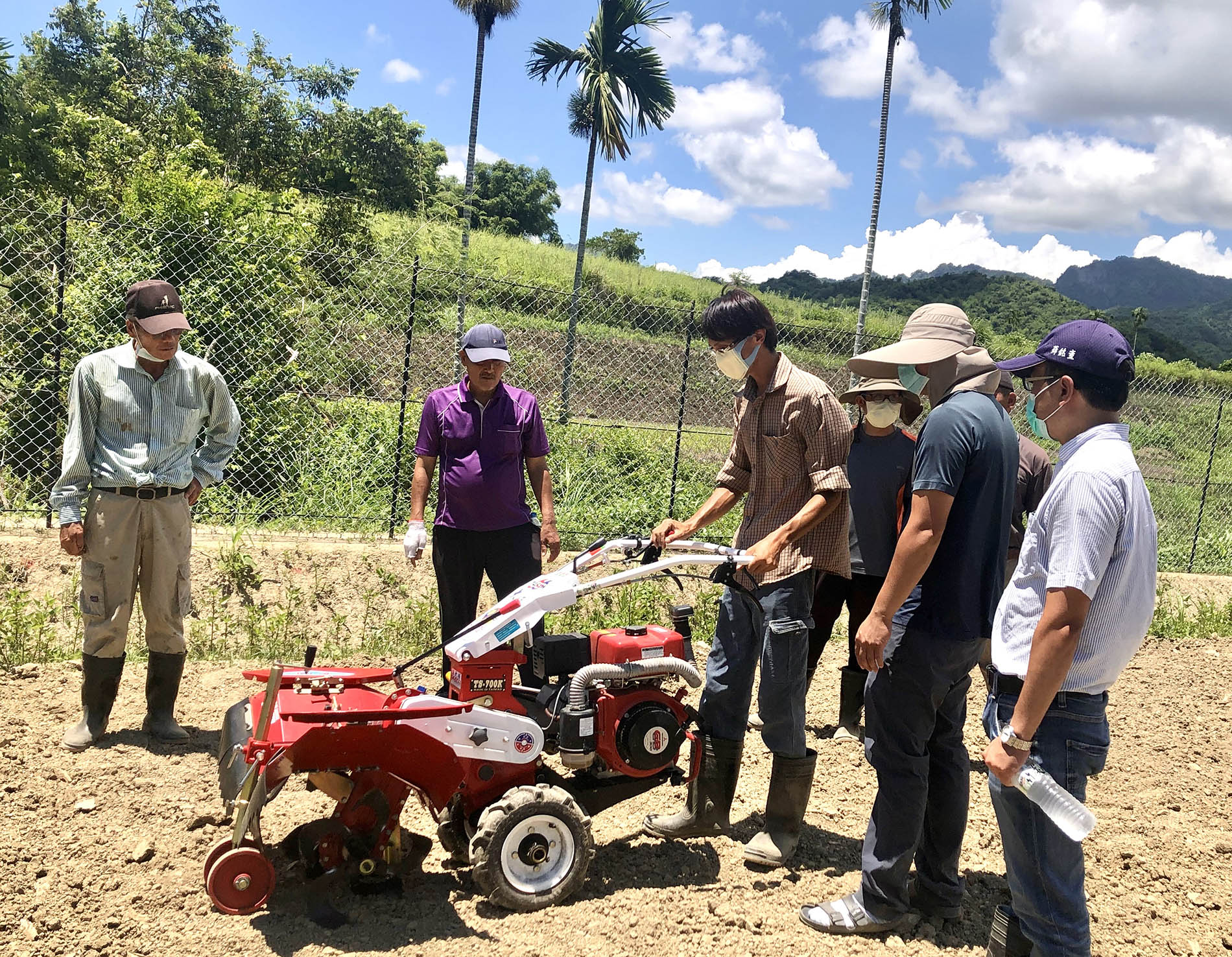 臺東場薛銘童副研究員(右1)輔導「SALAMA有機智慧農場」蔬菜栽培技術。 臺東場薛銘童副研究員(右1)輔導「SALAMA有機智慧農場」蔬菜栽培技術。