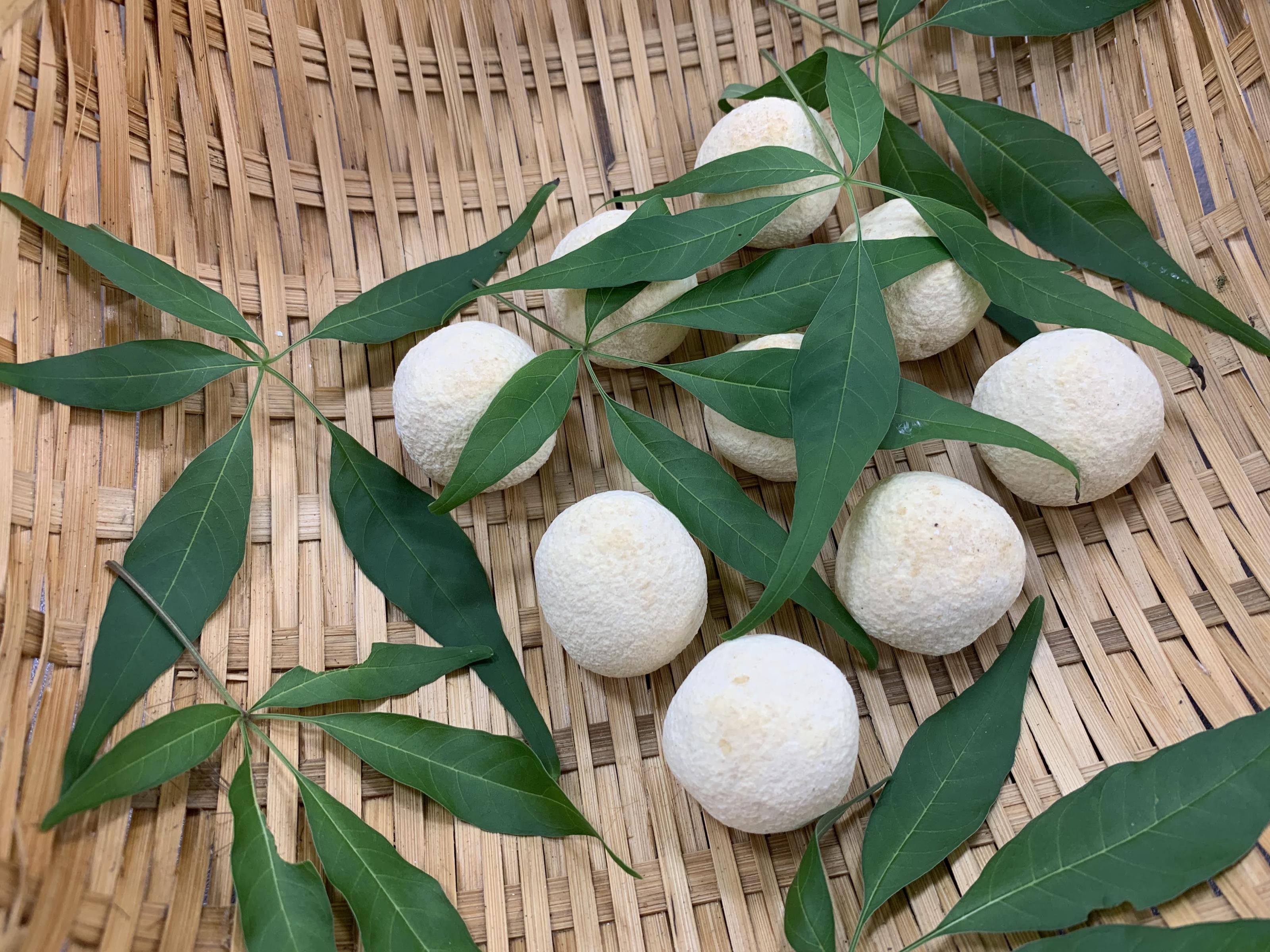 阿美族製作傳統酒麴時，會將黃荊葉片覆蓋於上方，有助抑制雜菌