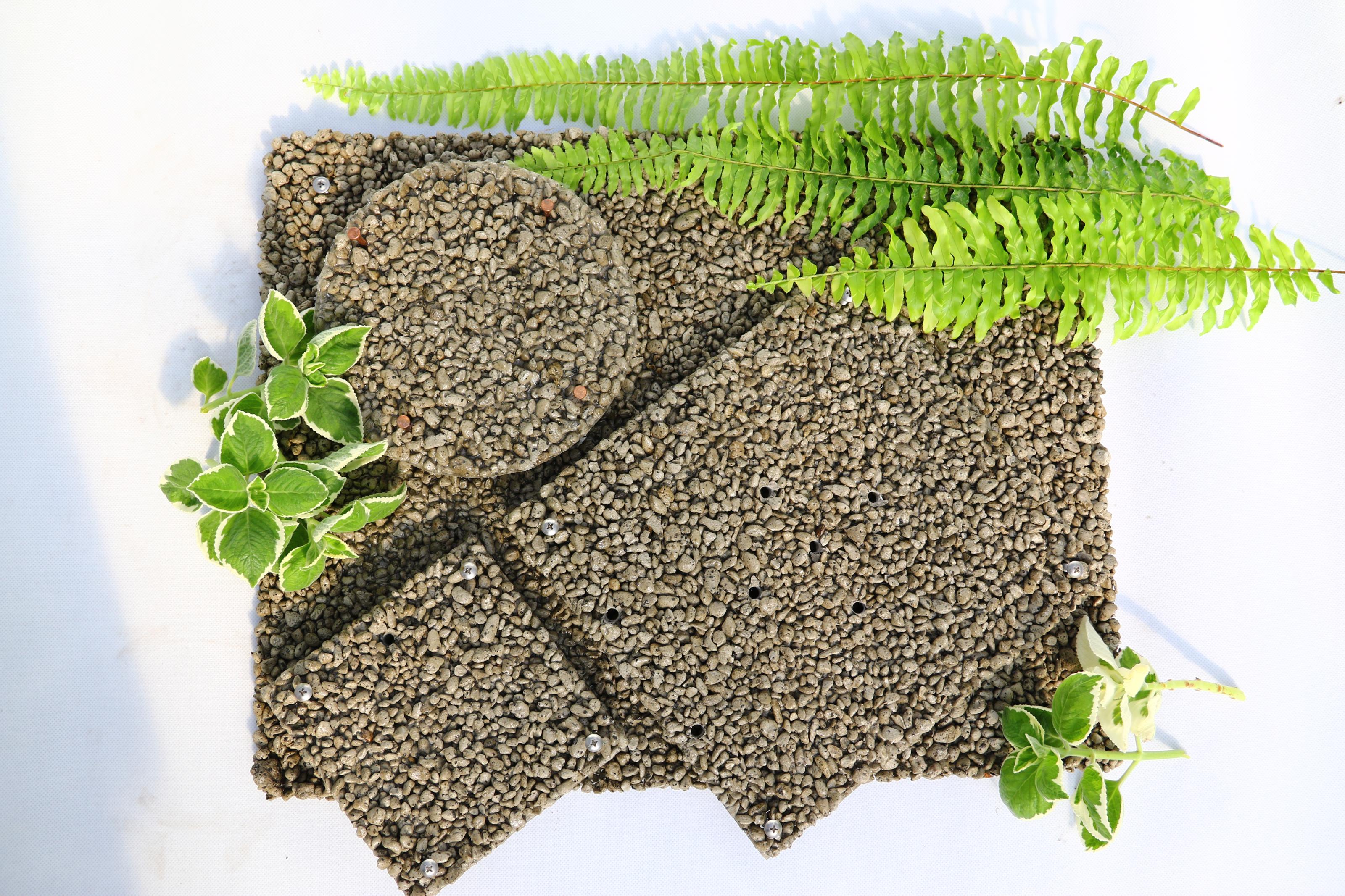 圖1.火山浮石手作植生板可依個人療育感受，選用不同大小顆粒排列與灌製外型，製作專屬自己的獨特植生板。