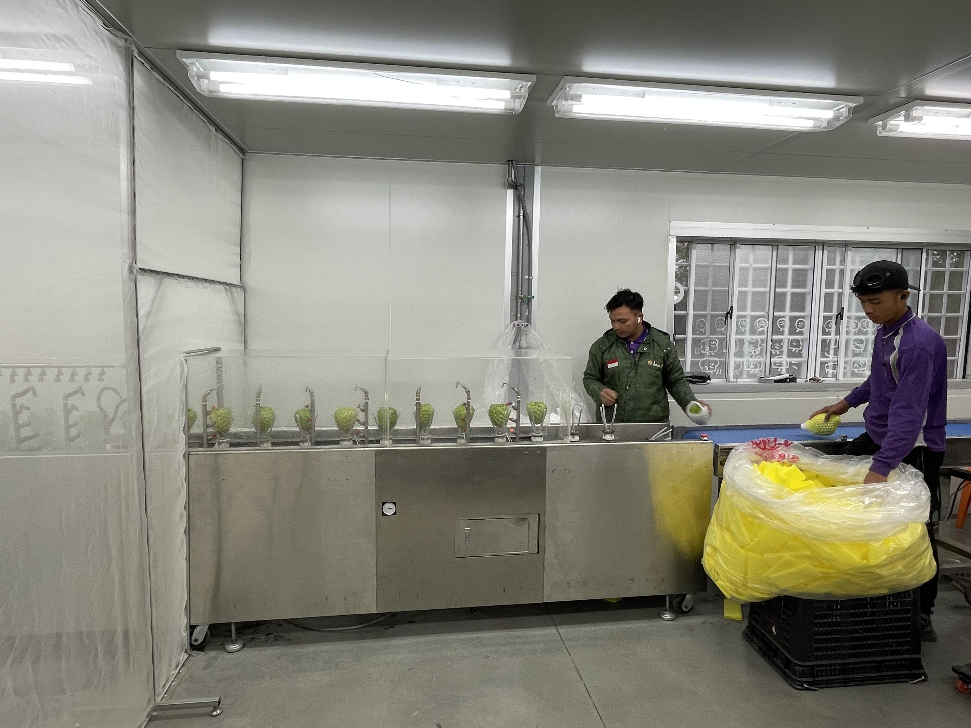 機械清潔風乾後即可直接進行包裝作業 機械清潔風乾後即可直接進行包裝作業