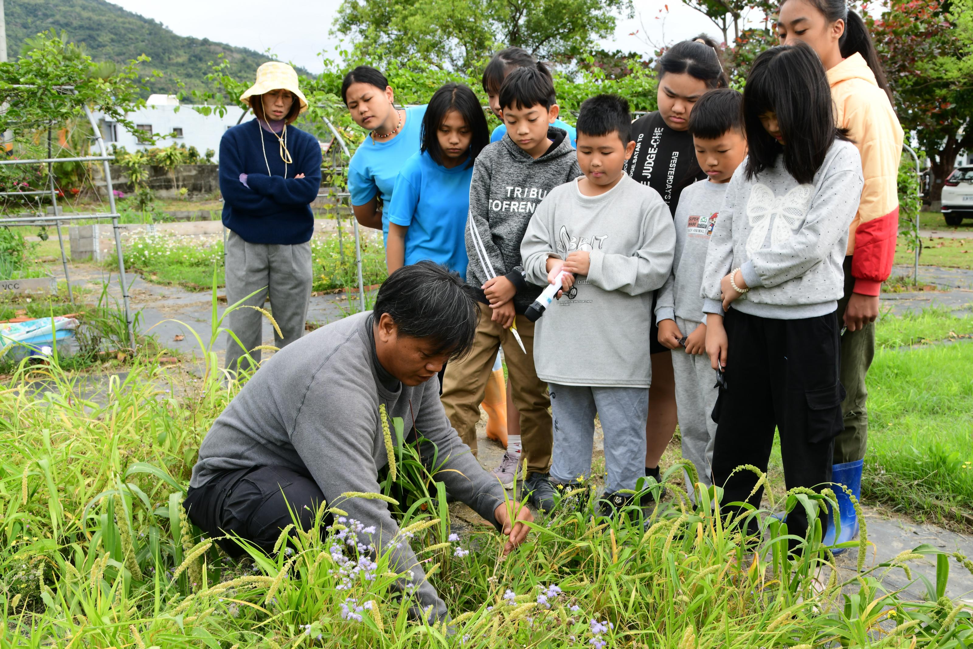 講師示範疏苗技巧