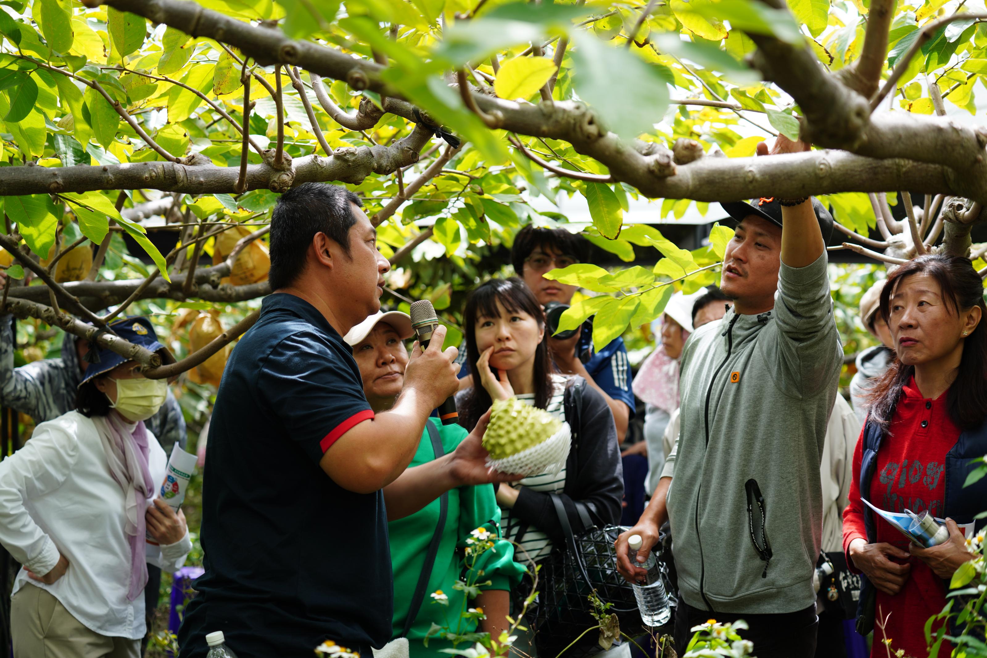 果園田間觀摩情形，農友交流熱絡