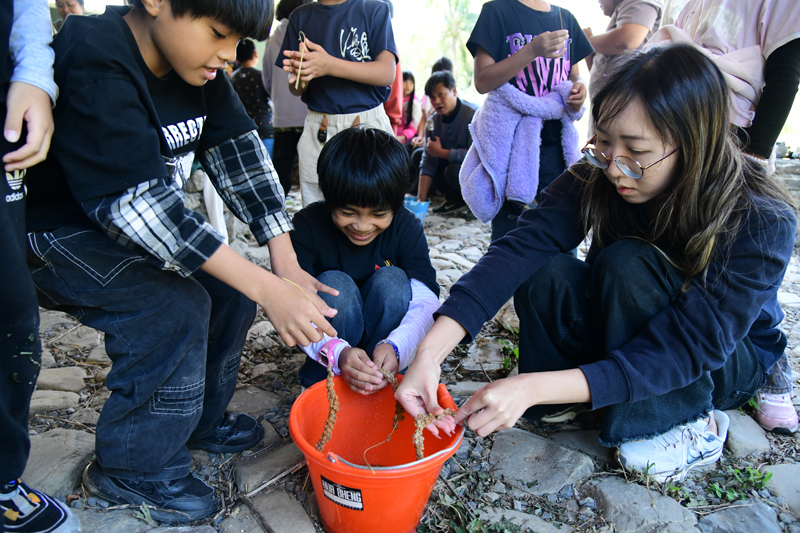 學生進行小米脫粒情形