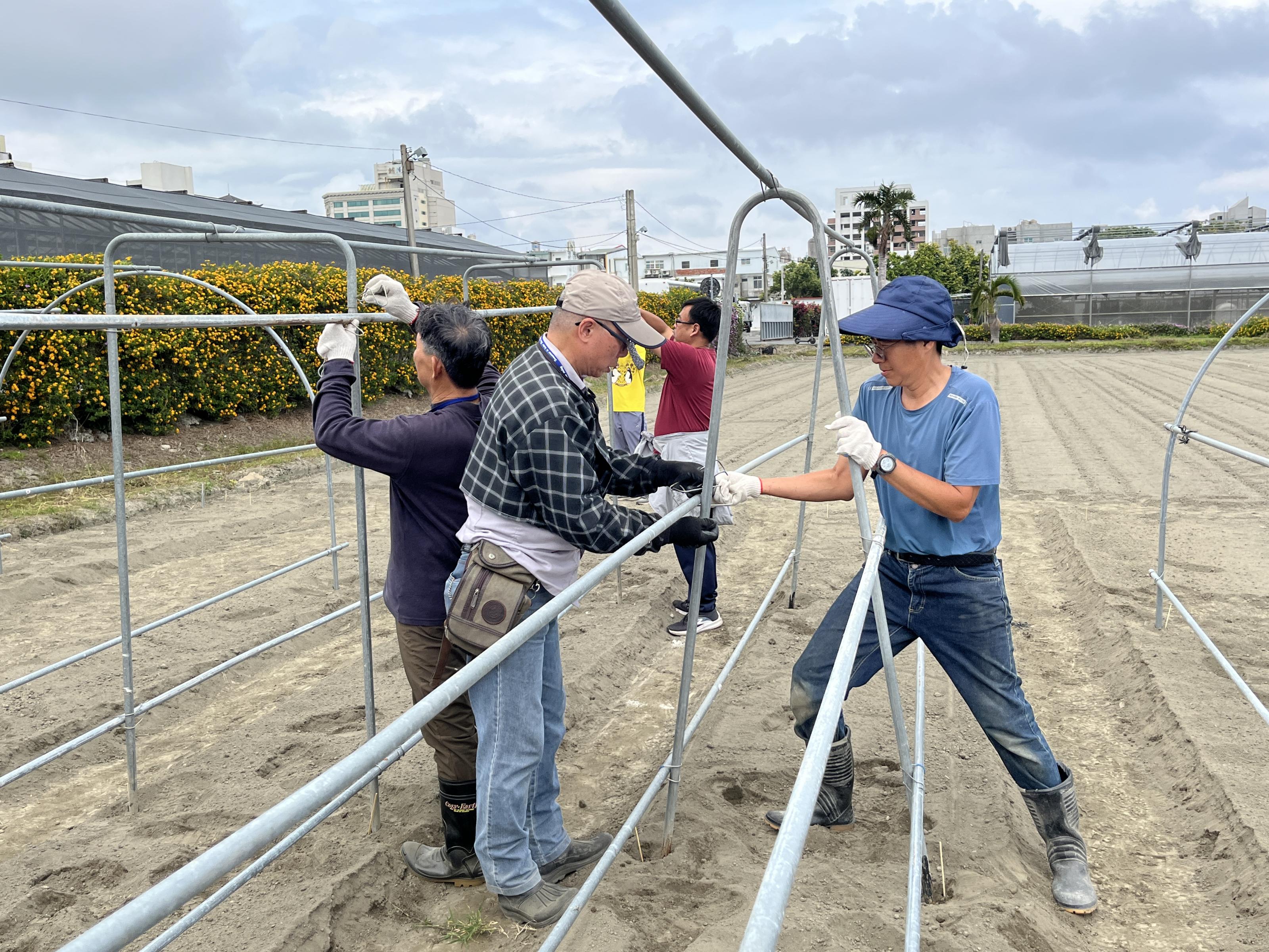 學員實地搭建蔬菜棚架及簡易網室