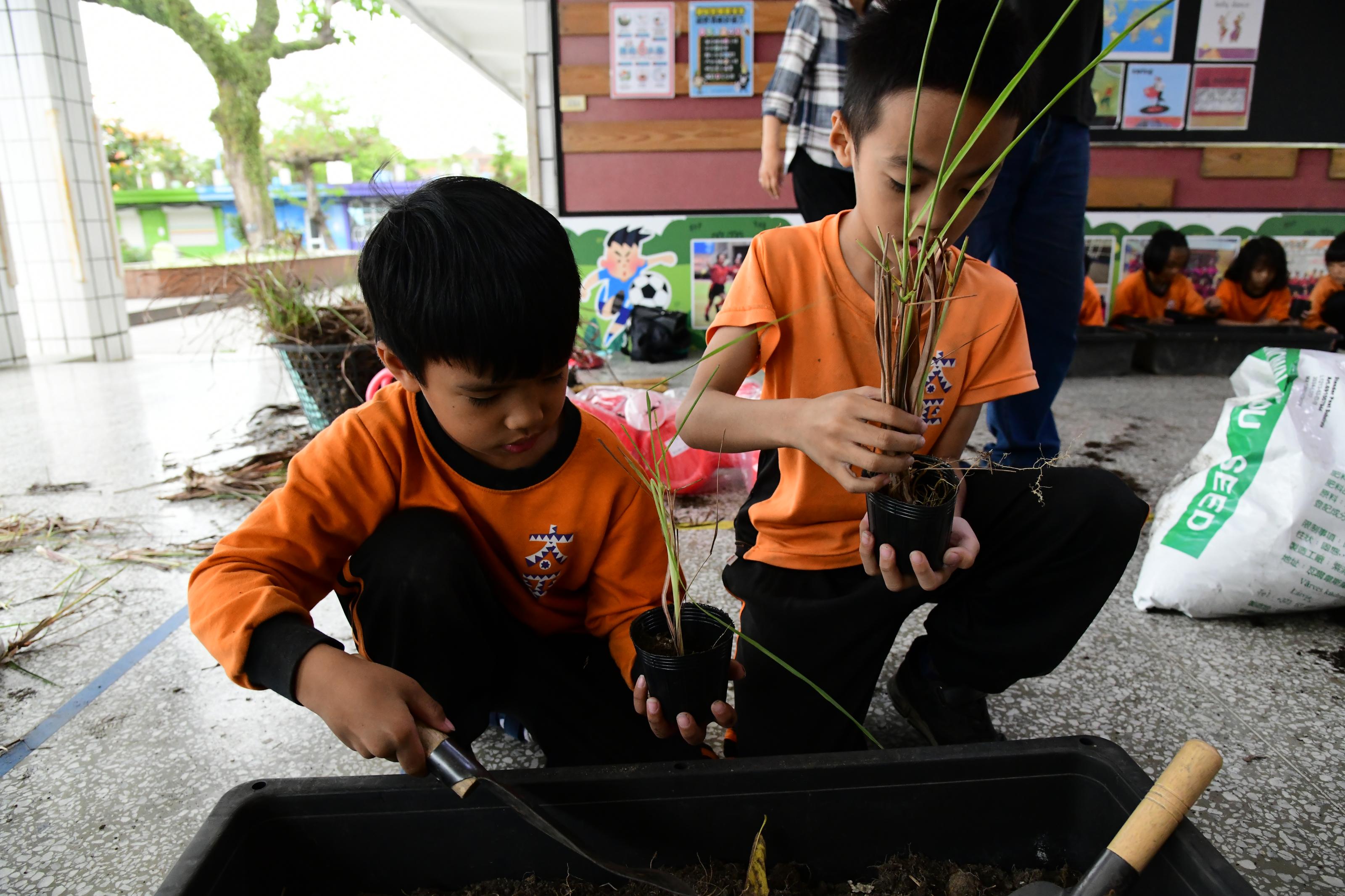 學生種植屬於自己的小盆栽