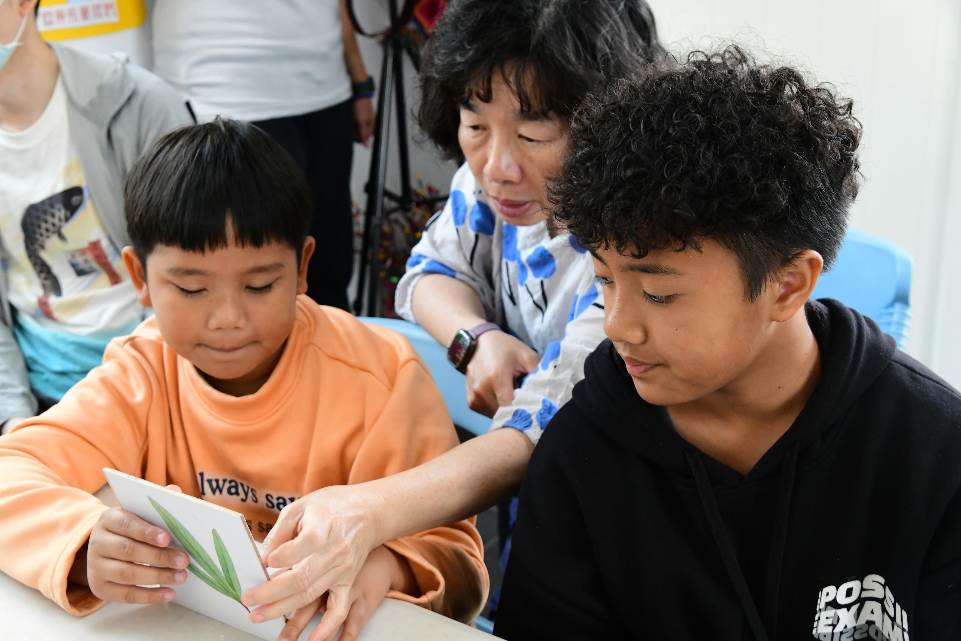 洛神葵圖卡讓學生加深學生的學習印象