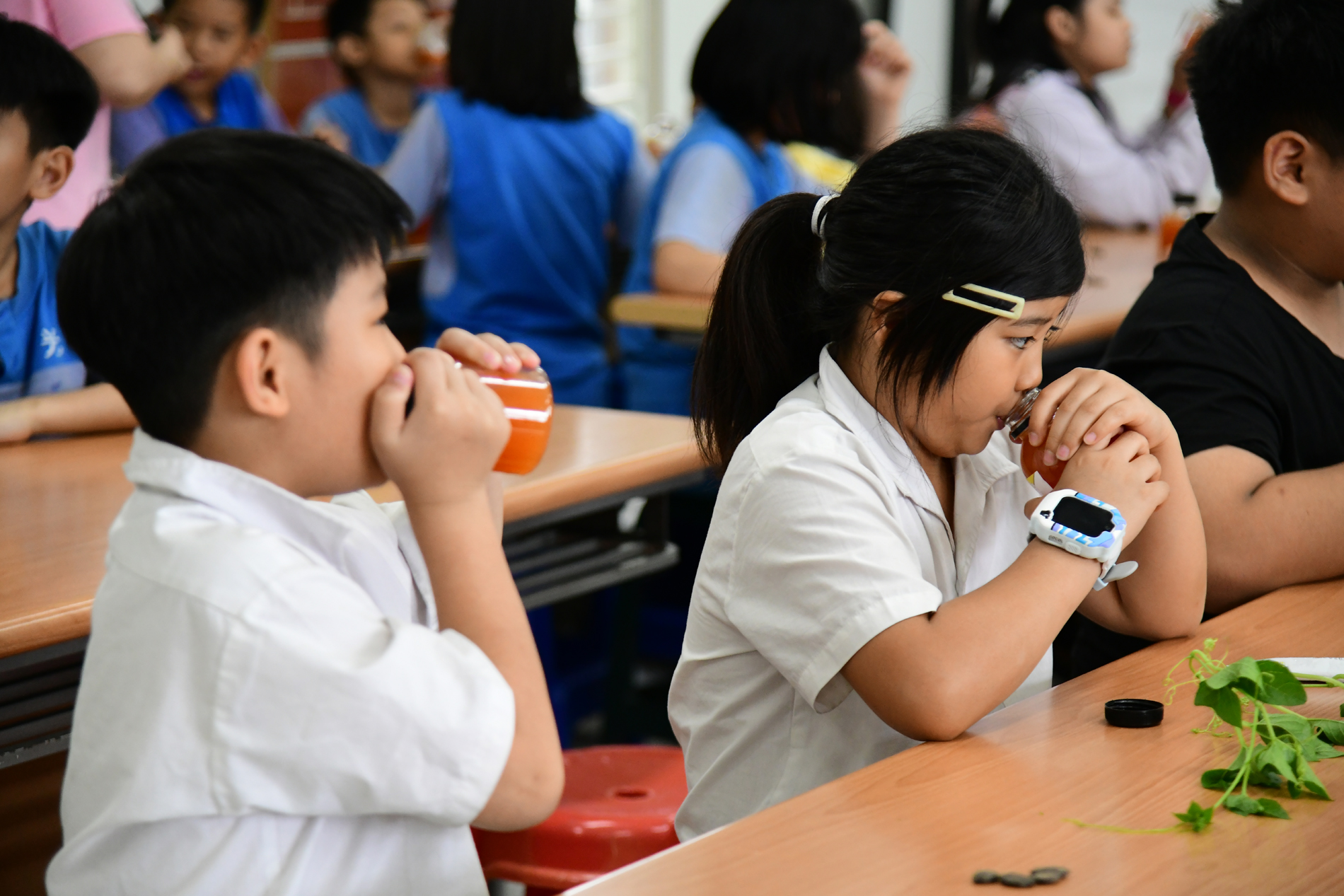 學生品嘗木虌果果汁獨特風味