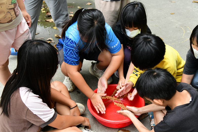 學生進行小米脫粒體驗