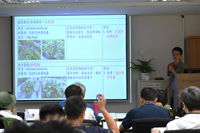 講師介紹香草植物種類及特性