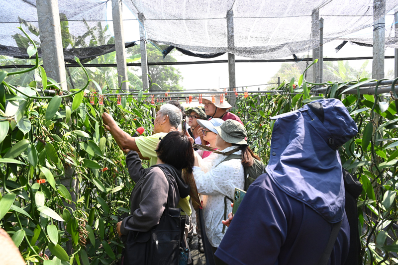 學員於都蘭山下香草園農場進行參訪