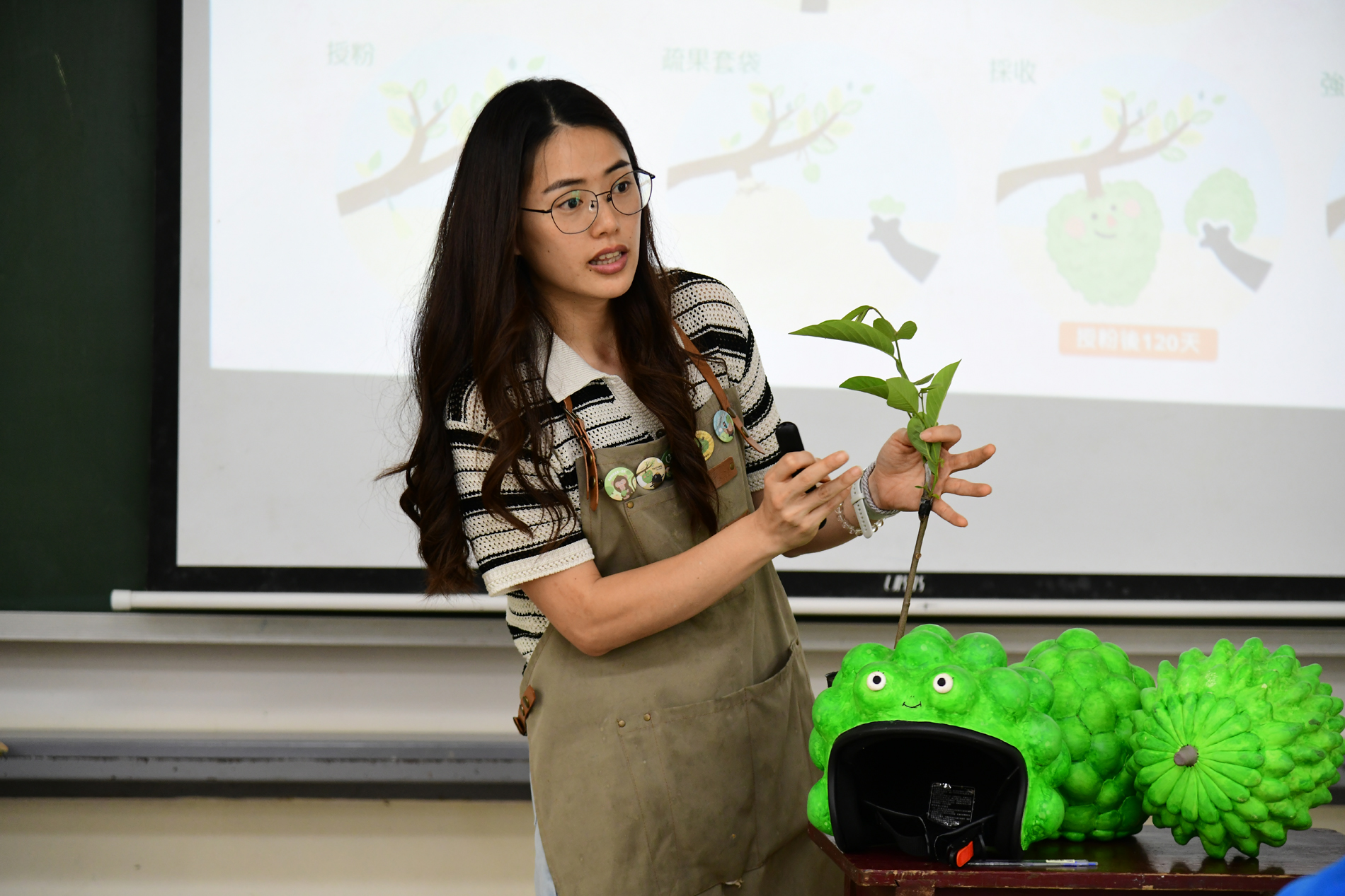 青農林沛縈講師介紹釋迦的栽培知識