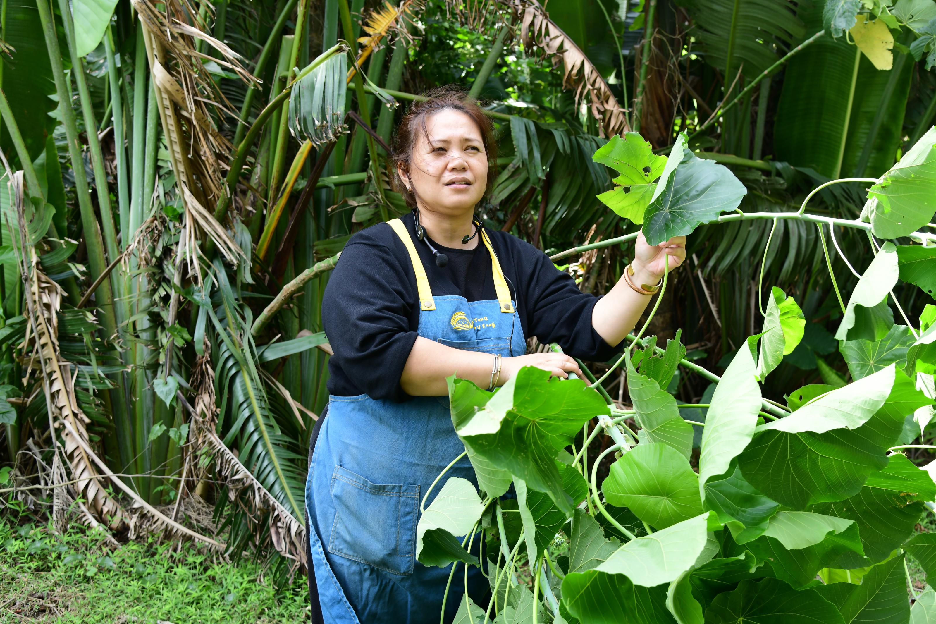 蓋亞那工坊胡郁如講師帶領學員認識自然食器素材