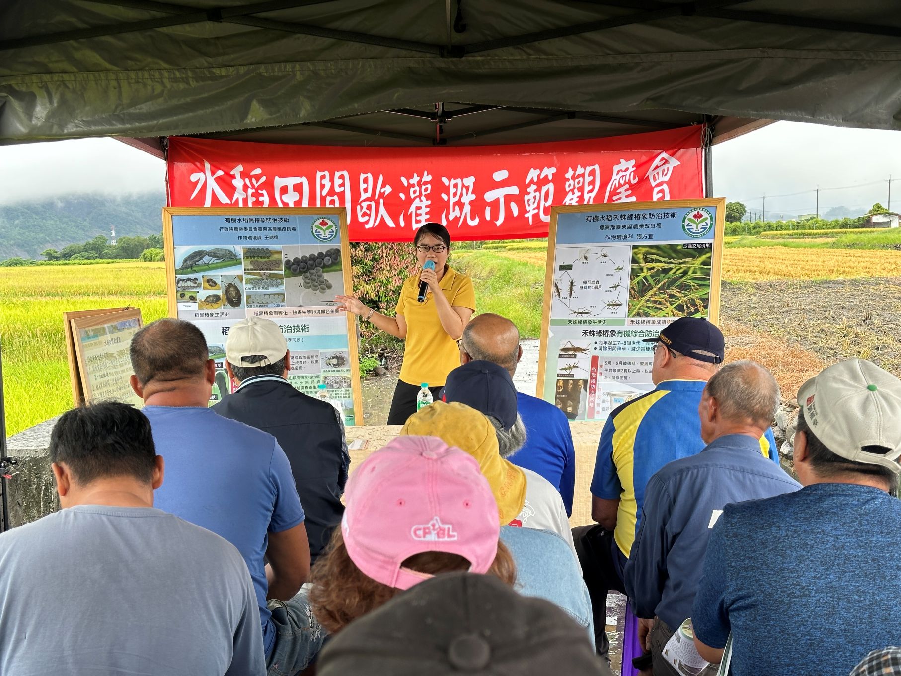 張方宜助理研究員說明水稻病蟲害整合管理技術 張方宜助理研究員說明水稻病蟲害整合管理技術