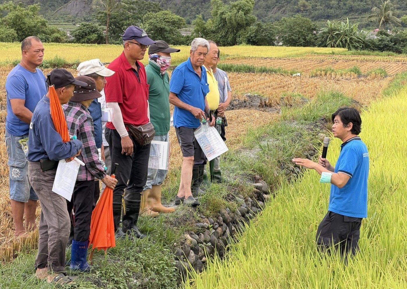 張繼中副研究員於示範田區說明水稻間歇灌溉技術 張繼中副研究員於示範田區說明水稻間歇灌溉技術