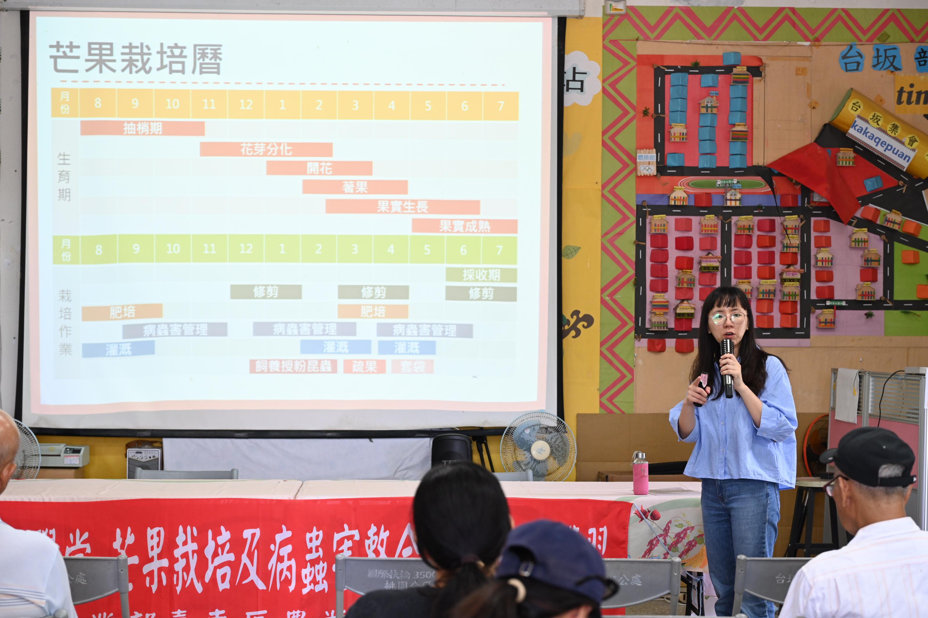 臺東農改場陳筱鈞副研究員介紹芒果栽培管理重點