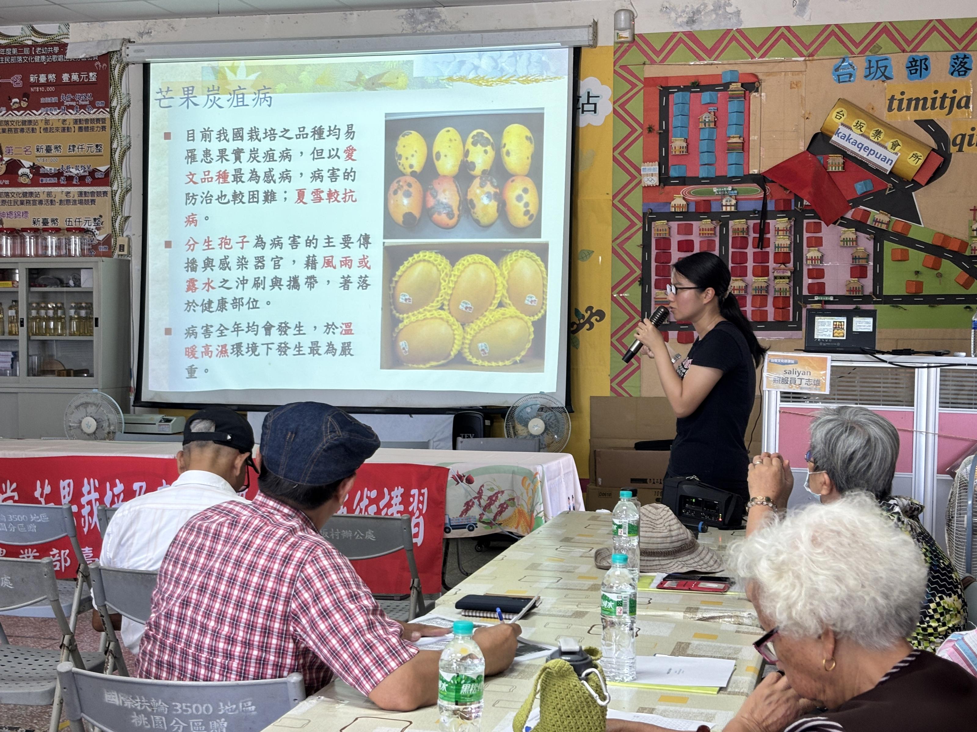 臺東農改場張方宜助理研究員介紹芒果病蟲害整合管理 臺東農改場張方宜助理研究員介紹芒果病蟲害整合管理