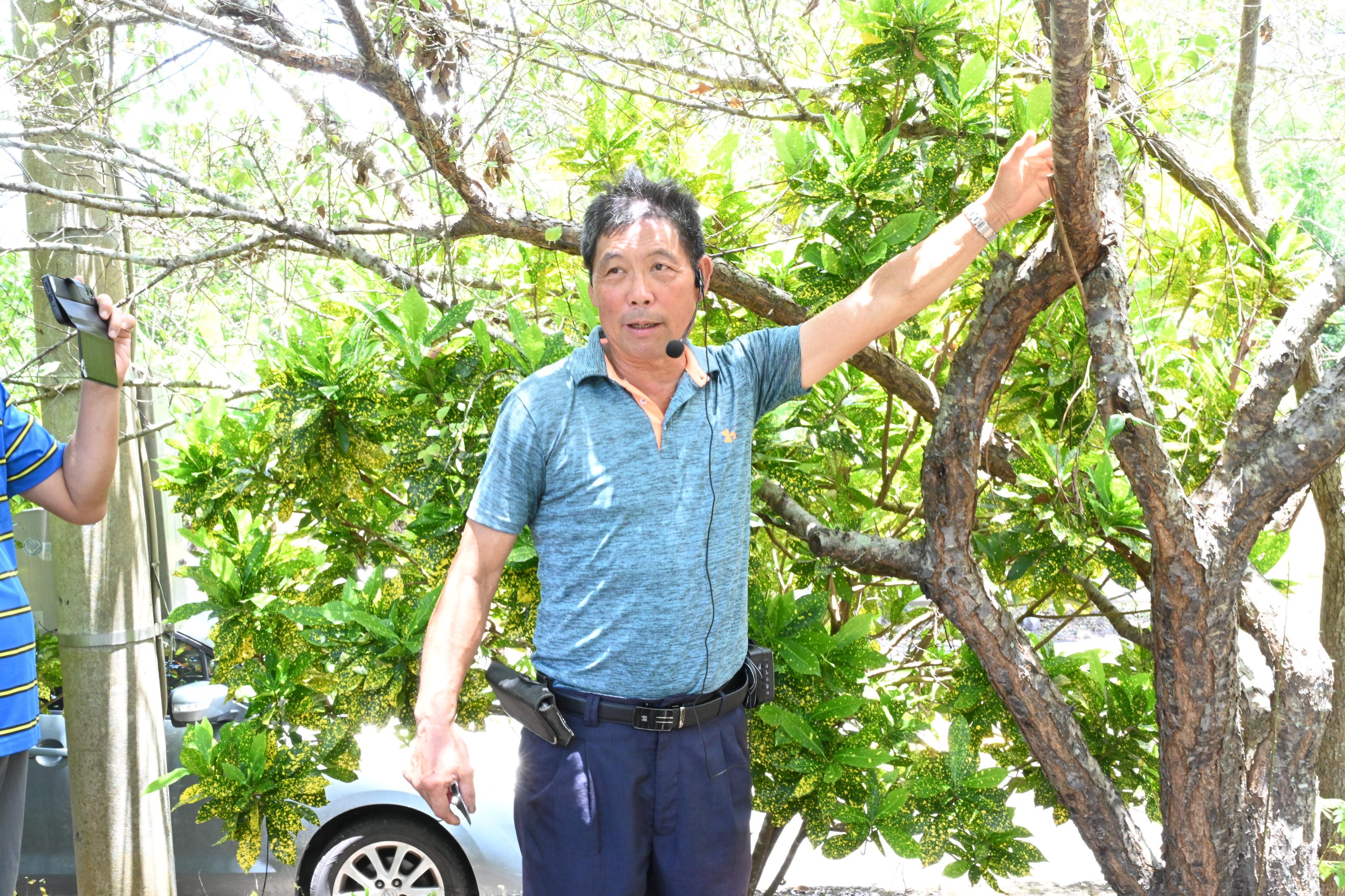 曲禾酒莊廖坤郎先生講解及示範梅樹整枝修剪技術