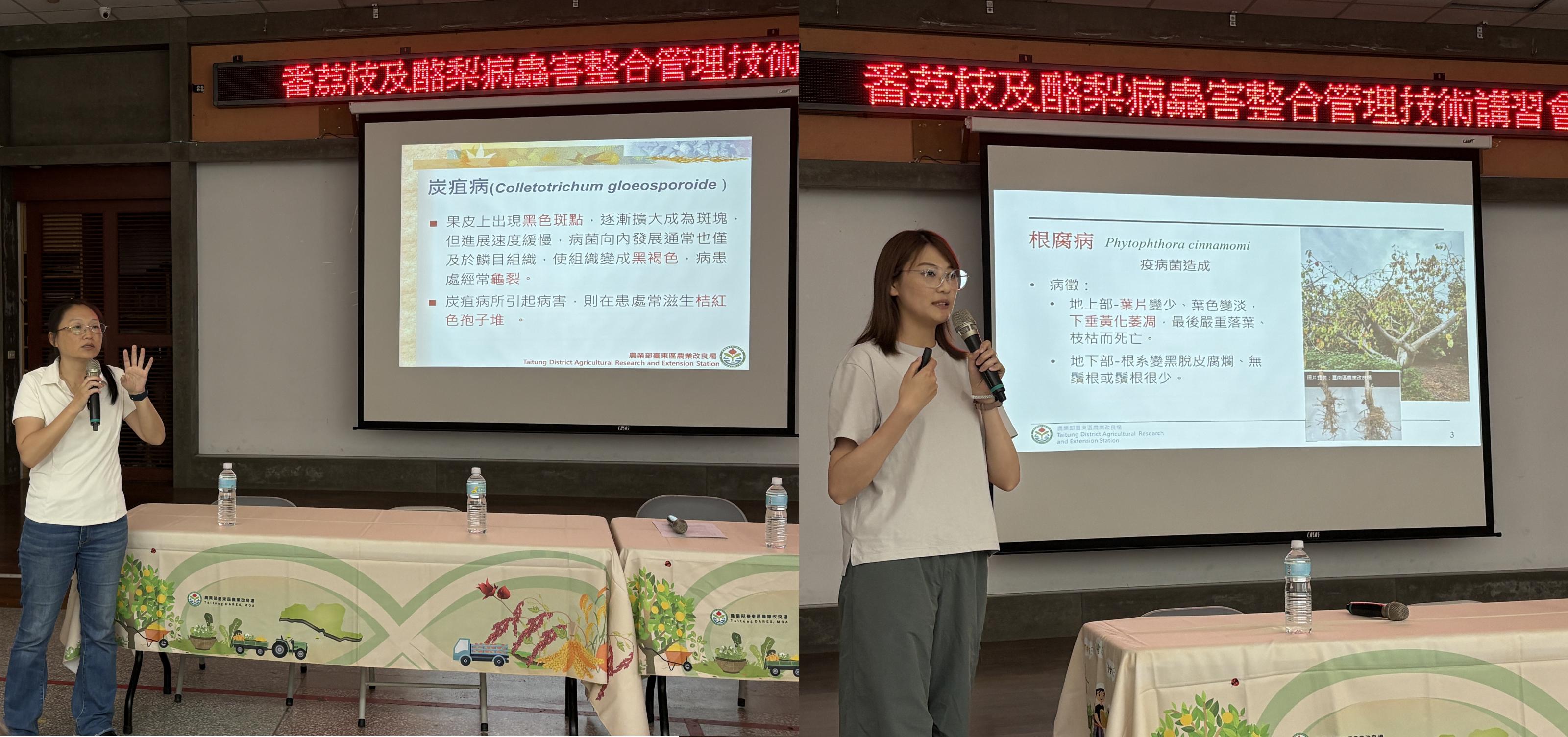 臺東農改場許育慈助理研究員（左）及鄭靜霖助理研究員（右）分別講授「番荔枝及酪梨病蟲害整合管理技術」