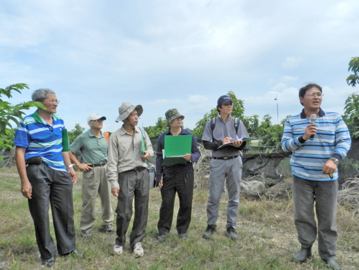 決賽番荔枝果園評鑑情形