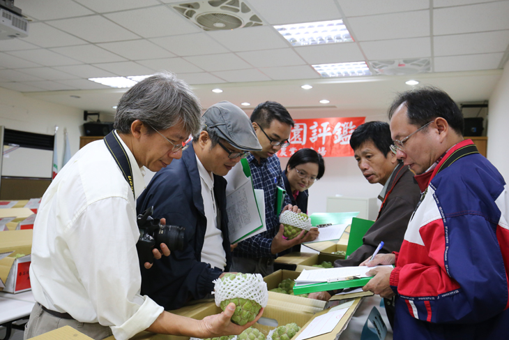 評審委員仔細評鑑參賽之番荔枝果實