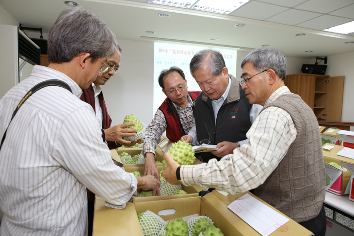 評審委員仔細評鑑參賽果品